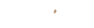 Savex GmbH